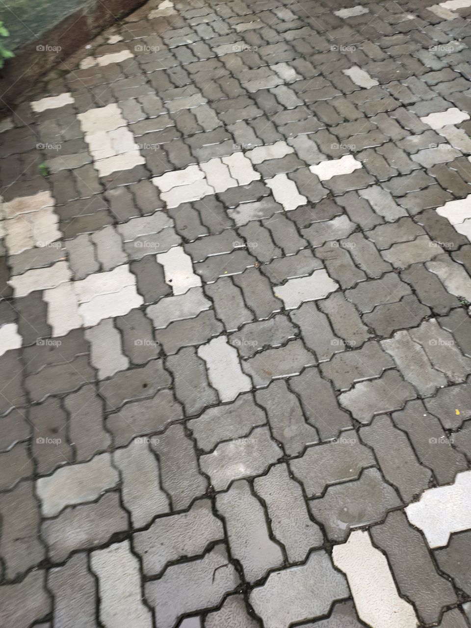 Road of Bricks