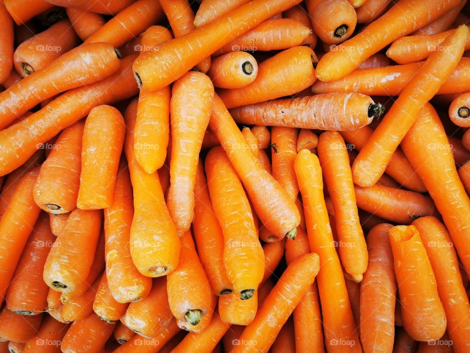 Australian carrot background image