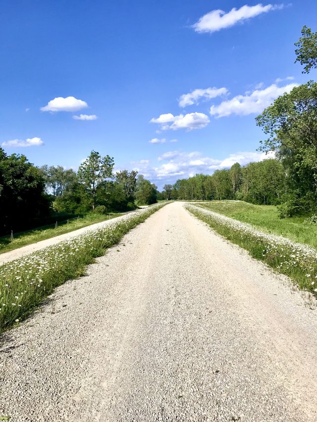 Clear Road