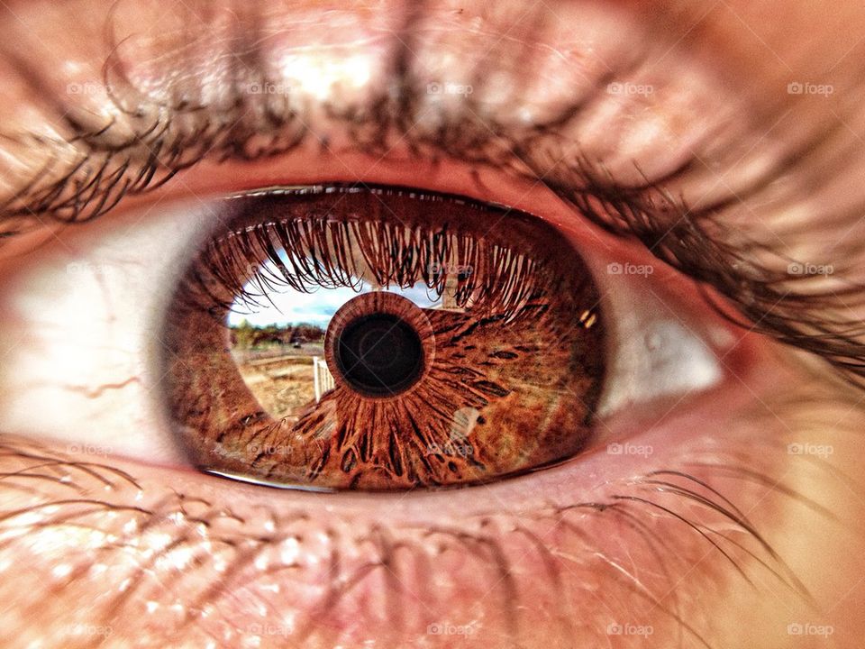 Extreme close-up of human eye