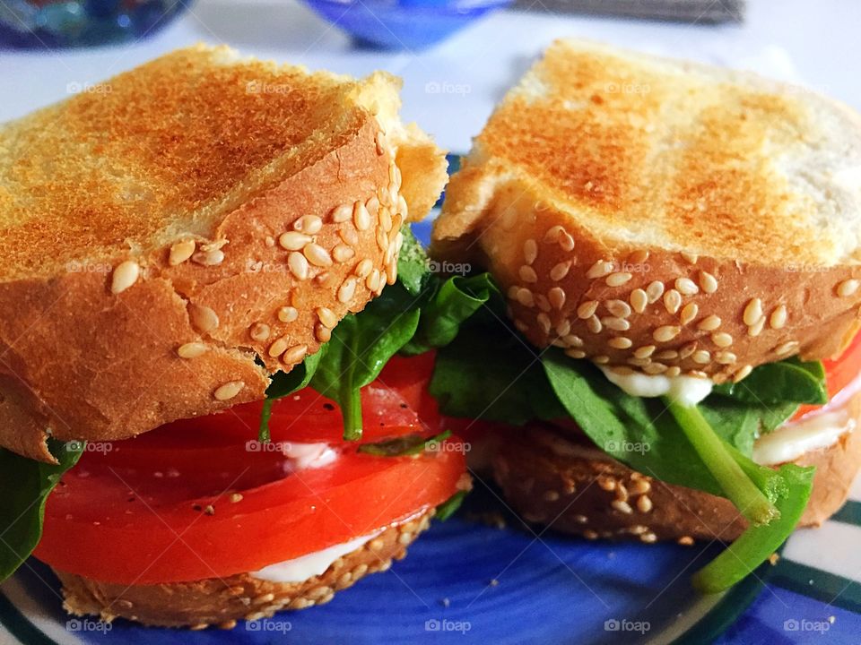 Delicious toasted tomato sandwich with spinach