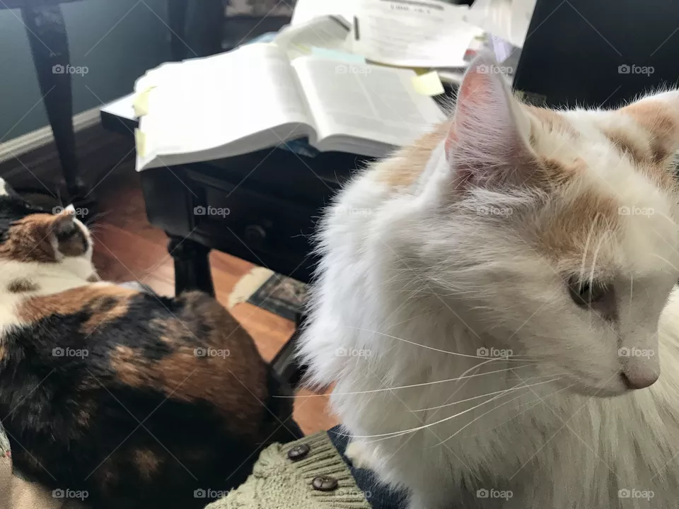 Do your homework 