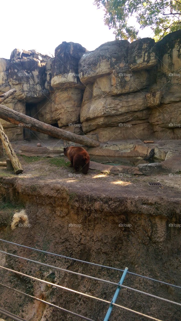 No Person, Mammal, Travel, Nature, Outdoors