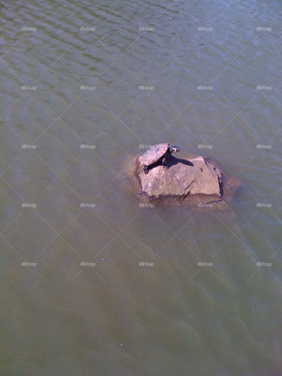 just need rest is anyone watching me by pawright68