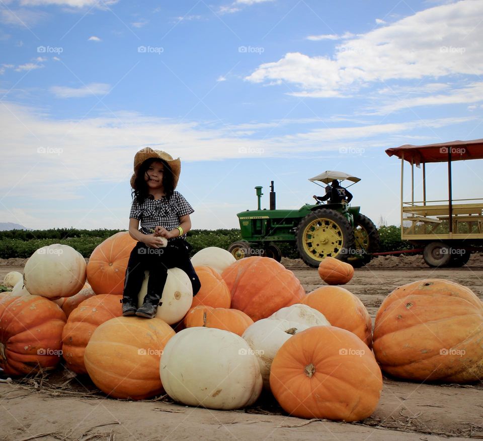 Pumpkin Patch 