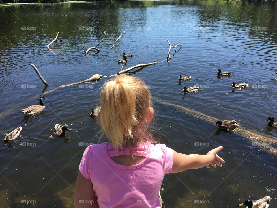 Close-up of girl feeding ducks in lake