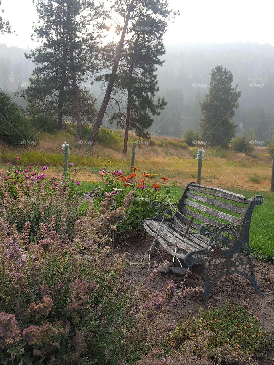 Old wooden bench in the rock garden said against the backdrop of a foggy sunrise mountain