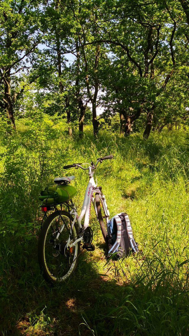 Summer ride