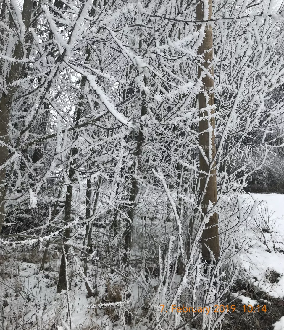The beauty of winter