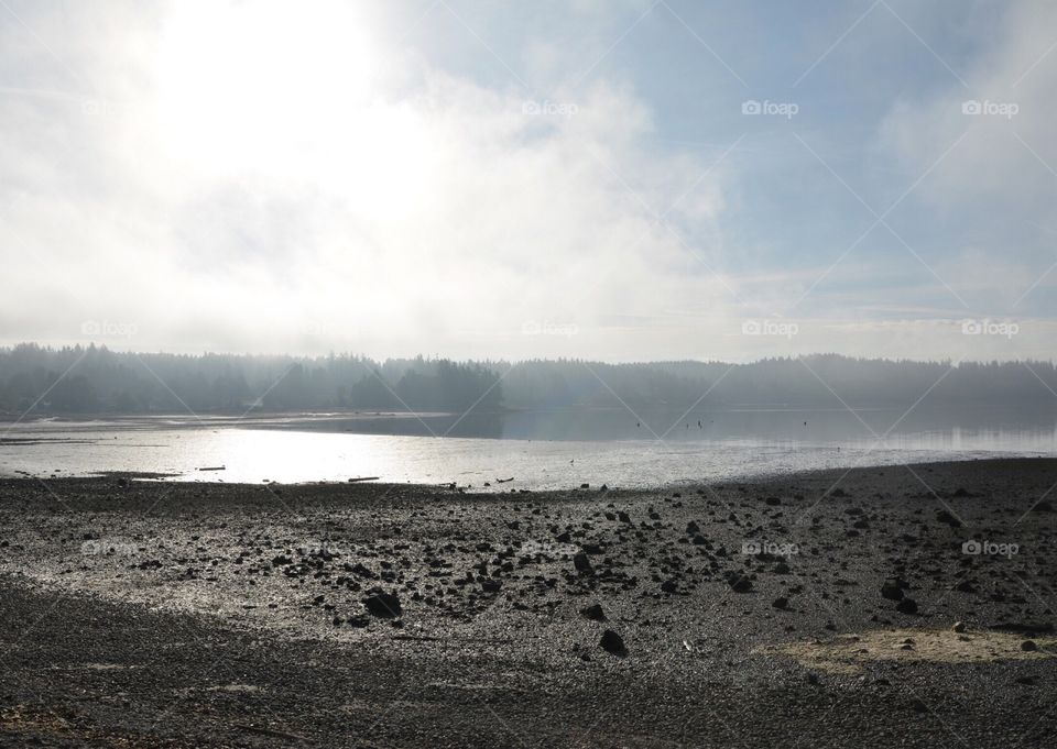 The fog burning off in the morning over the water