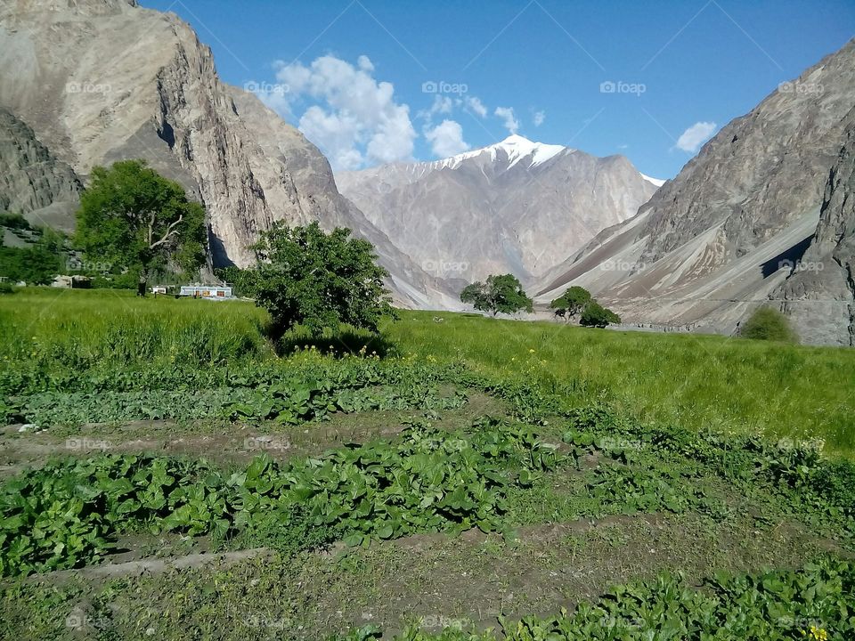 A beautiful scene of a village in Leh Laddakh called Bongdang Located in state of India Kashmir.