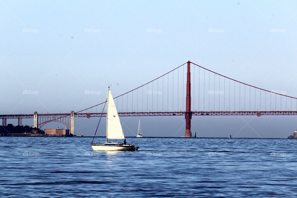 a white sailboat sailing across the Blue Waters of the bay as the Golden Gate Bridge Stands Tall in the backdrop.