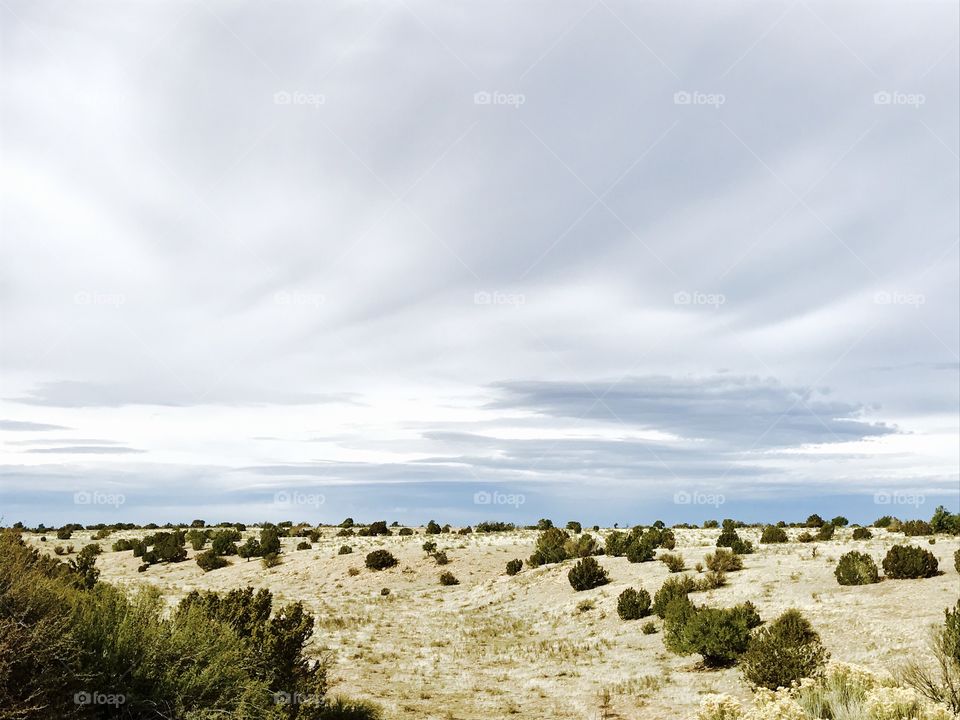 High angle view of landscape