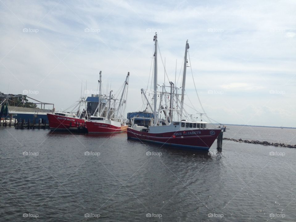 Fishing fleet Oriental North Carolina's