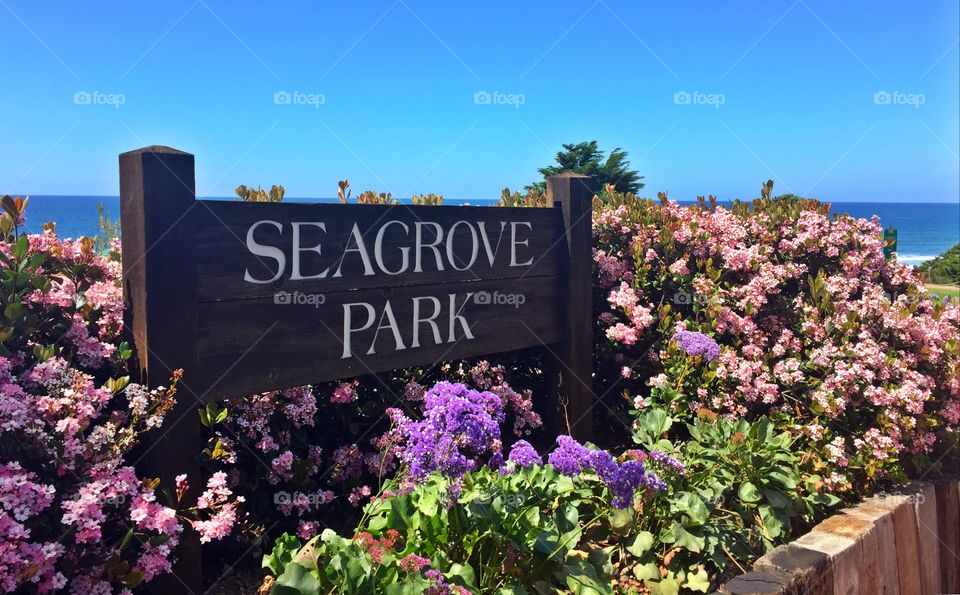 Seagrove Park