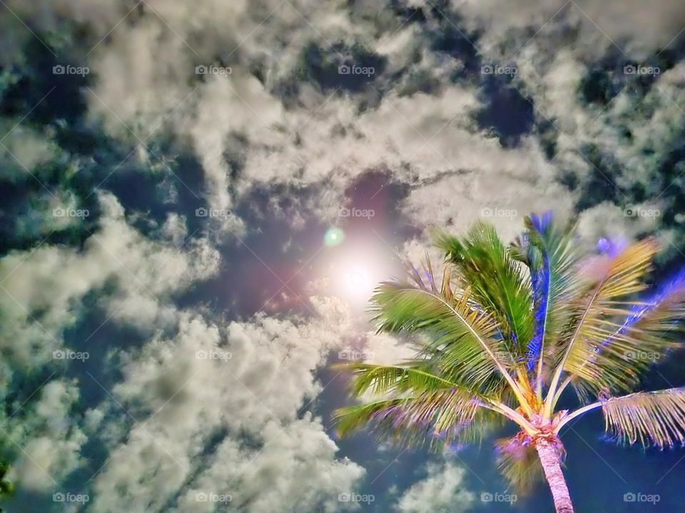 dusk shine ramadan faith month nasa water crater circle phase detail crescent galaxy glow vector glowing mystical natural calm romantic clouds eclipse celestial sunrise mountain orbit cloudscape evening star tranquil midnight landscape sphere beautif