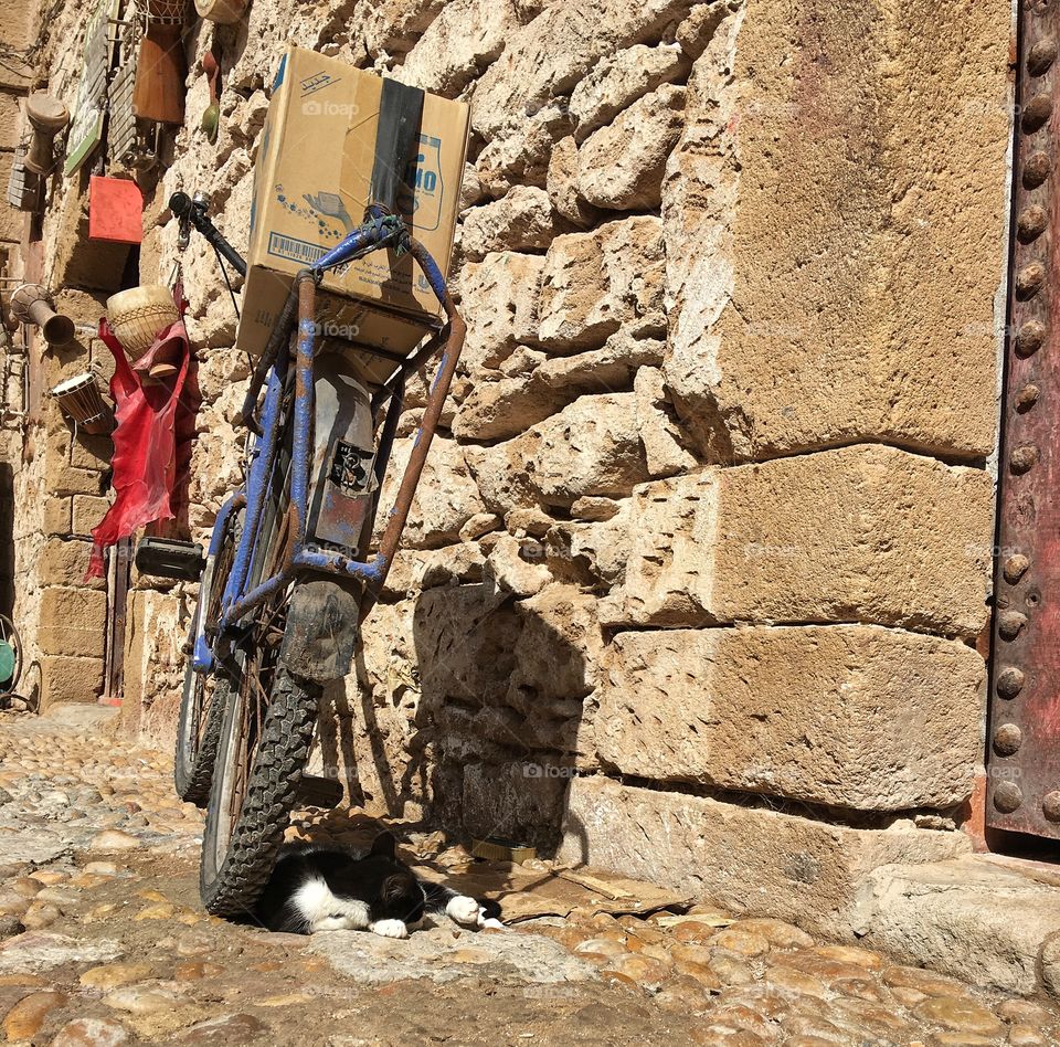 Outdoors, Wheel, Action, Danger, No Person