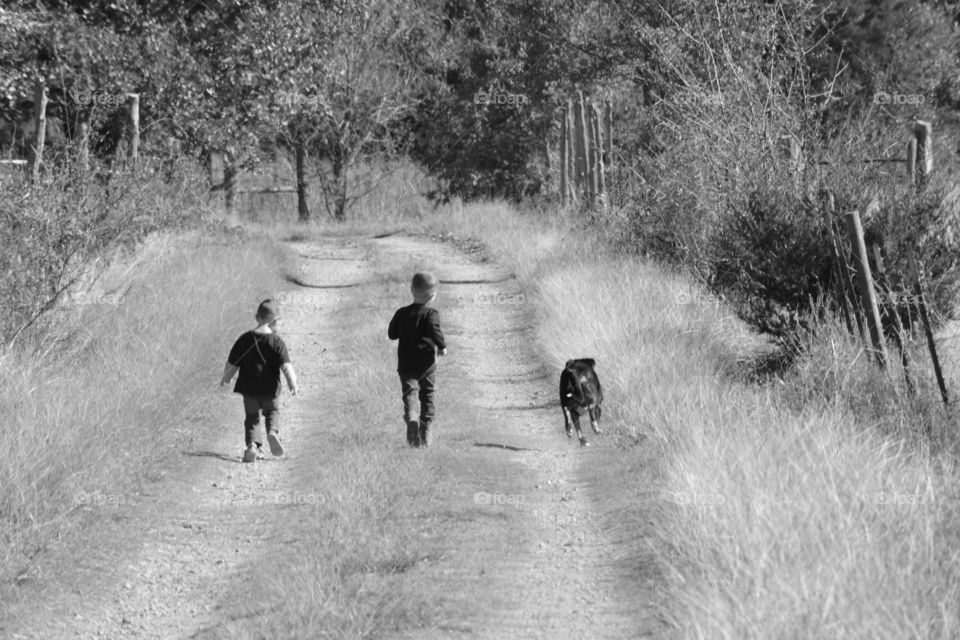 Boys running on a dirt country road with their dog. Done in black and white