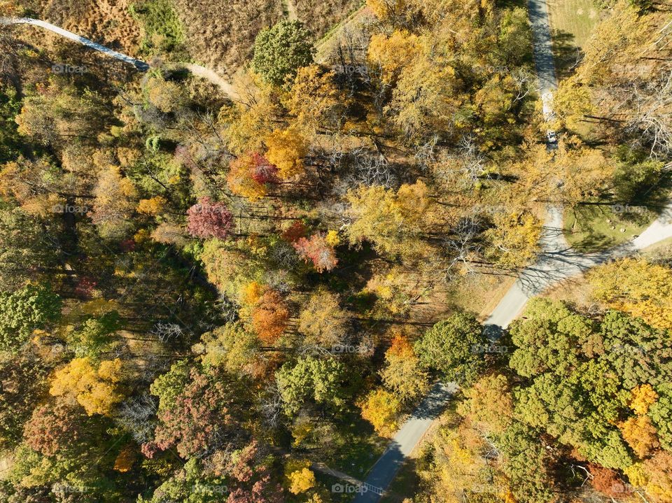 An artist's palette of nature, where vibrant hues of gold, orange, and crimson dance across the landscape, celebrating the beauty of autumn from above.
