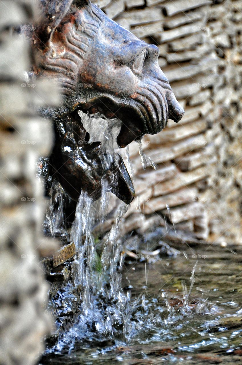 Amazing fountain. The fountain from a lion mouth in city park of Krasnodar, Russia