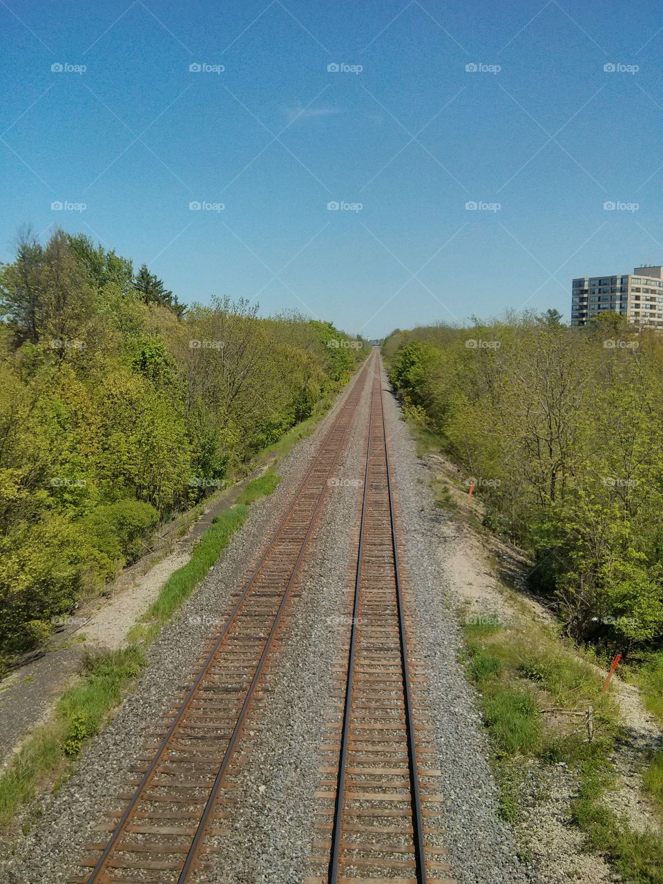 Diminishing view of railroad track