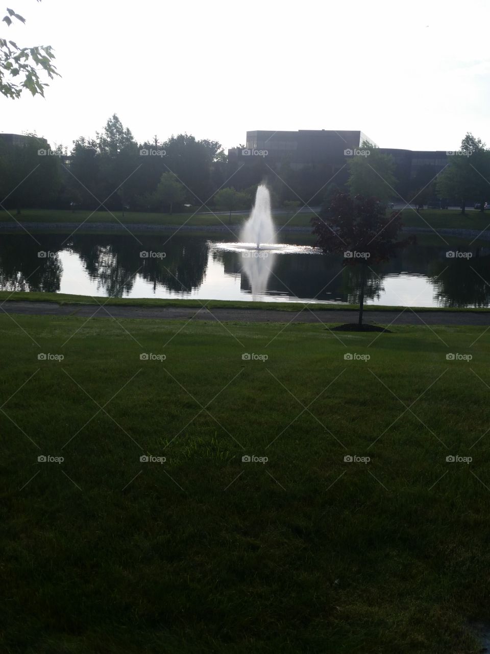 No Person, Landscape, Outdoors, Tree, Grass