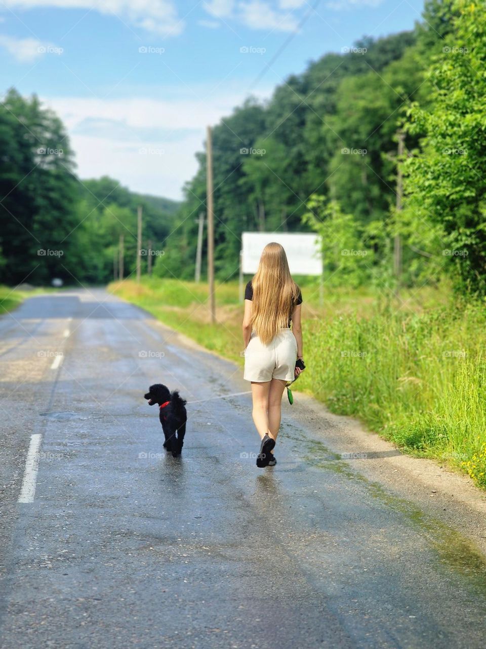 walk in nature after a summer rain