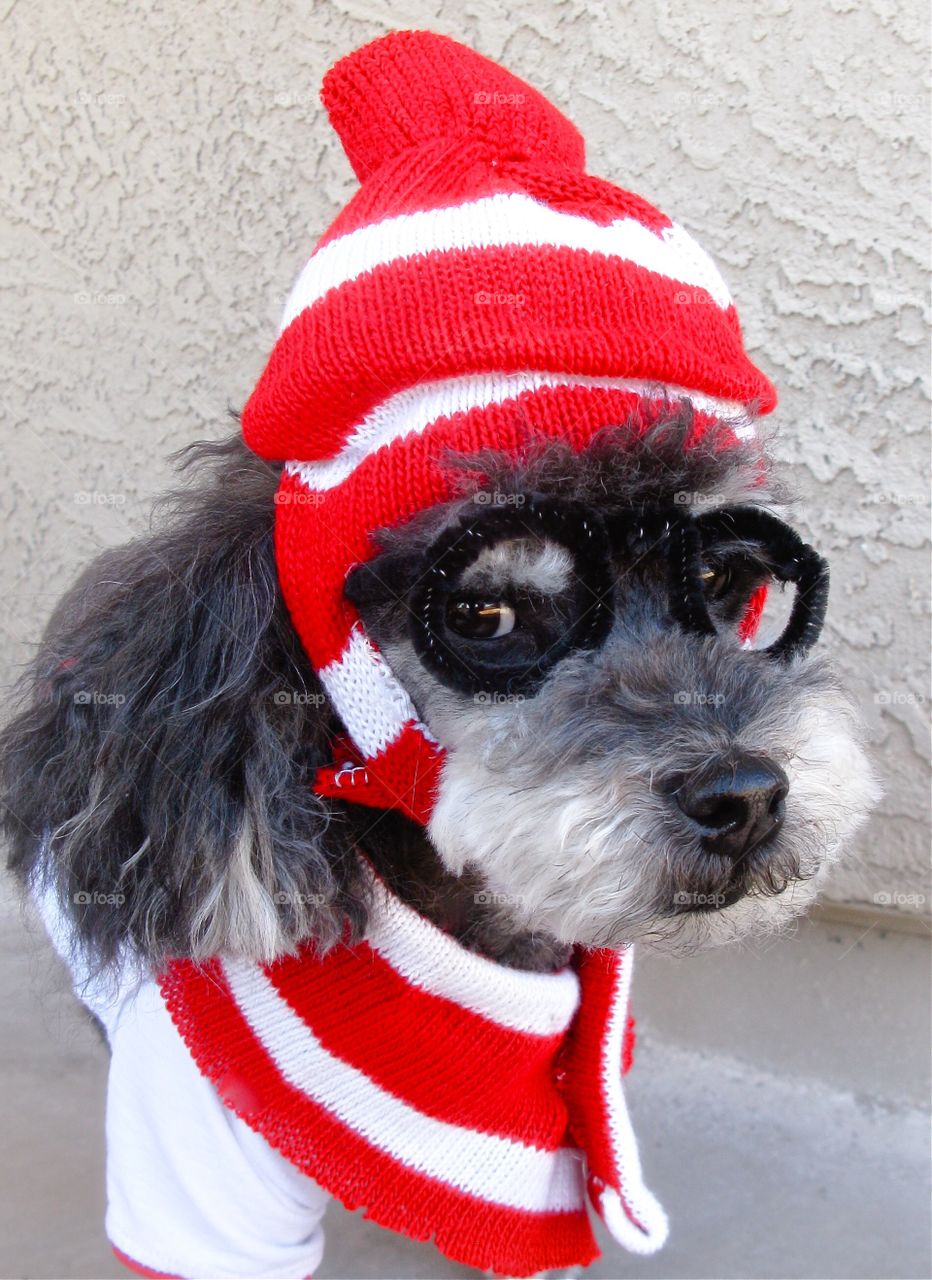 That is the question