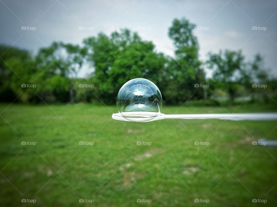 Clear Bubble on a Wand in a Green Field