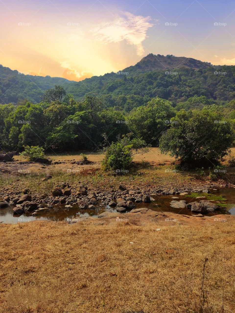 Bhimashankar awesome nature view shot on Camera