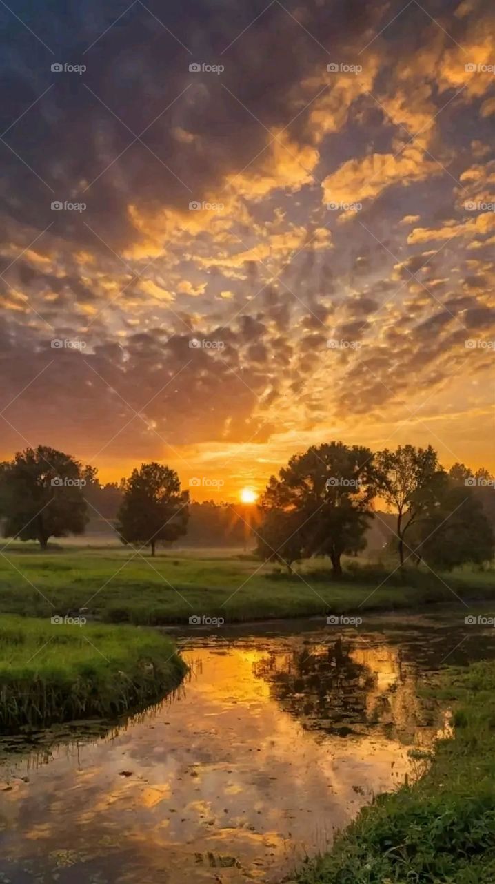 A very beautiful picture, and there is no better picture than it. There is no better picture of green herbs and colorful, red and white roses than it. Glory be to God, the natural and picturesque view, and there is no more