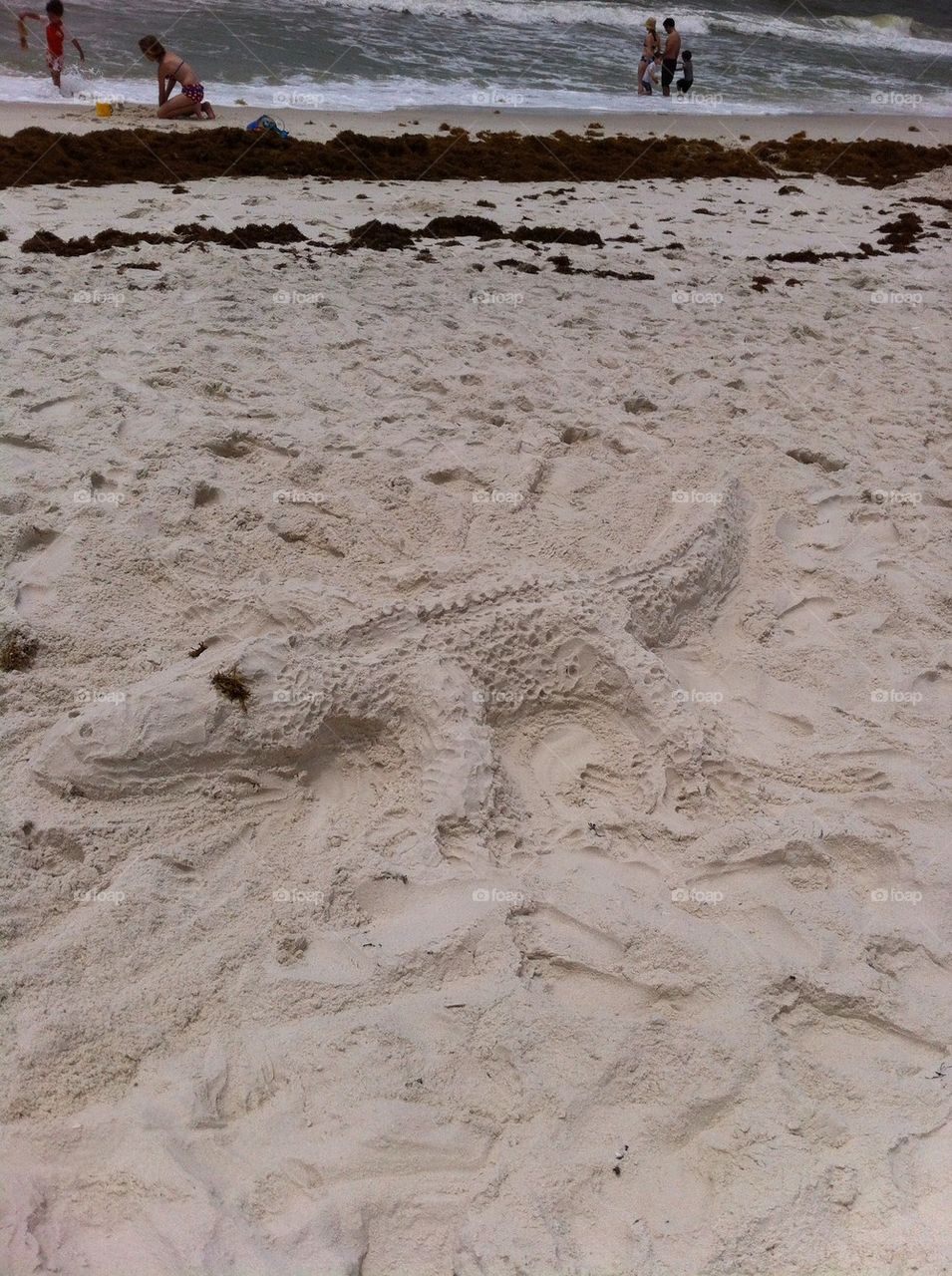 Sand gator