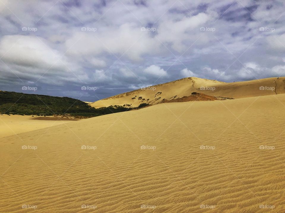 Sand Dunes

