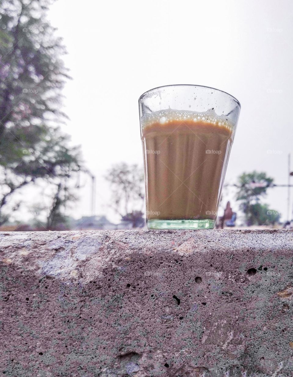 editors choice: portrait