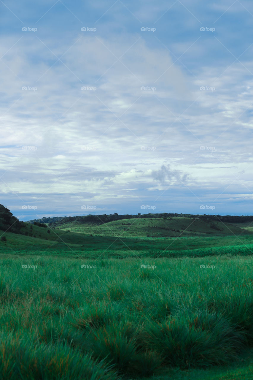 hortan place beautiful