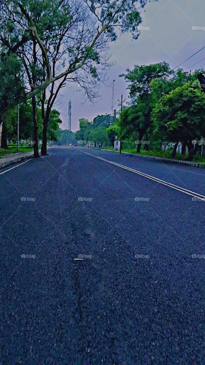 That street with the illuminated lights looks absolutely stunning! It's like a scene straight out of a movie. I love how the lights create such a vibrant and magical atmosphere.