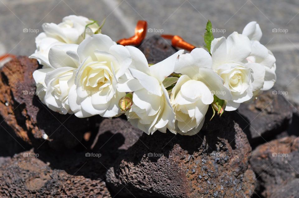 White roses crown