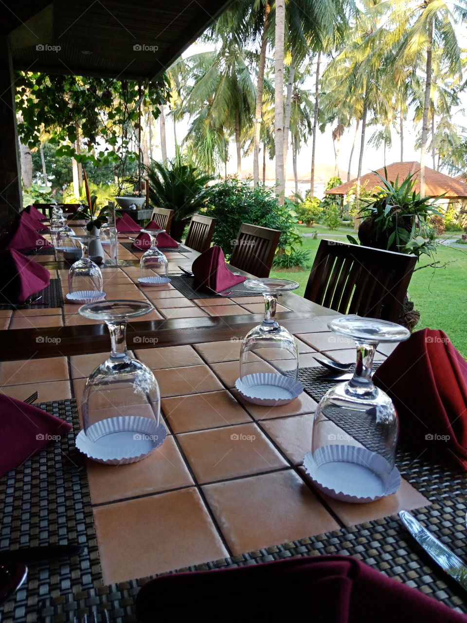 ready to have a great dinner