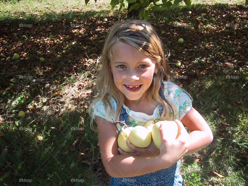 Arm full of apples