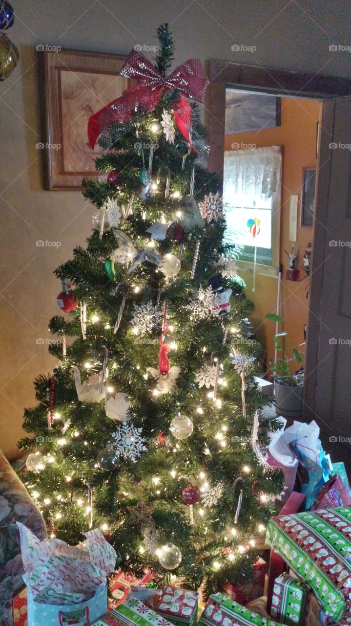 christmas tree. christmas tree mission