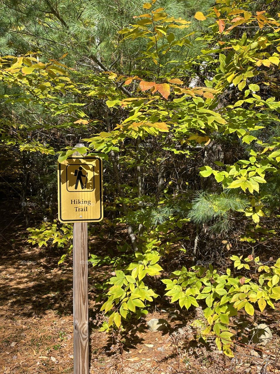 Hiking trail in fall 