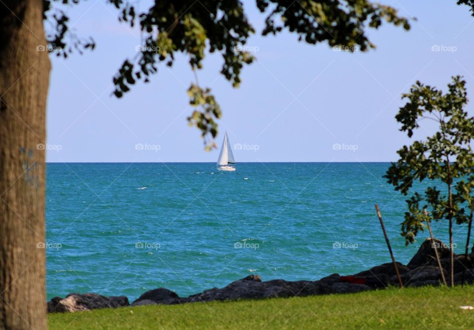 the sailboat