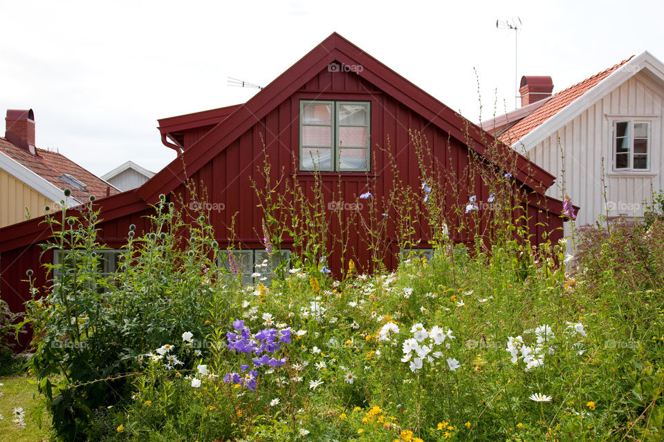 Red cottage