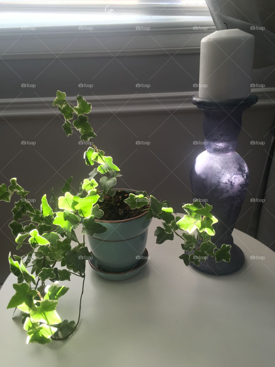 Sunlight on ivy with purple glass candle holder 