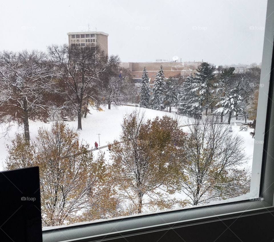 Winter on campus 