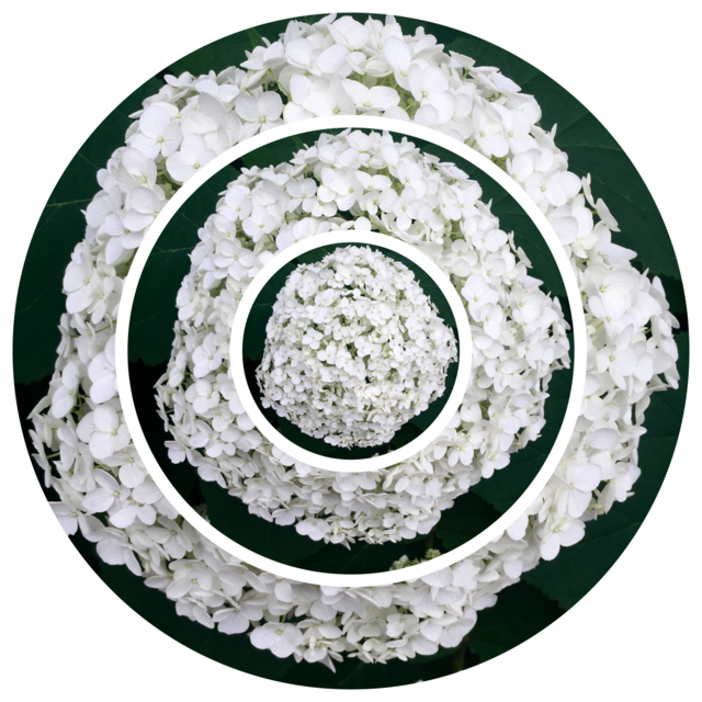 Decoration, Round Out, Desktop, Round, Snowflake