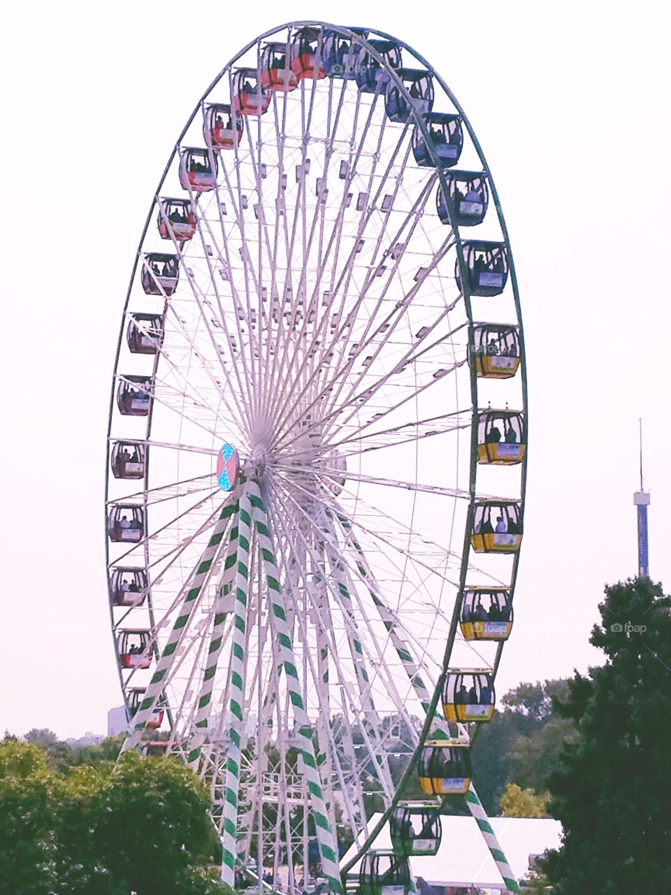 massive ferris wheel