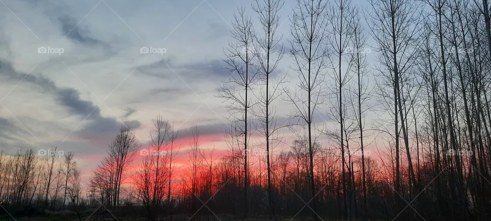 Sunset
