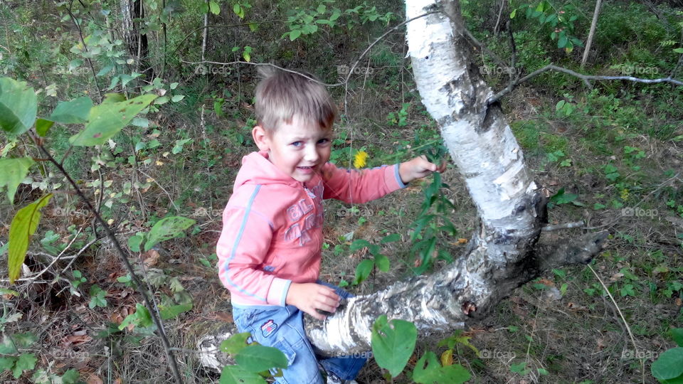 Wood, Nature, Tree, Outdoors, Child