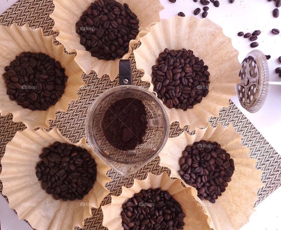Coffee beans displayed in coffee filters surrounding a personal size French press with it's filter on the right side.